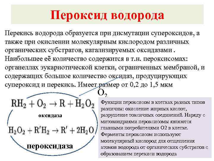 Схема образования пероксида водорода