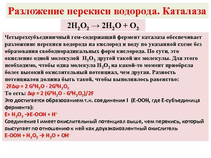 Разложение перекиси водорода. Каталаза 2 H 2 O 2 → 2 H 2 O