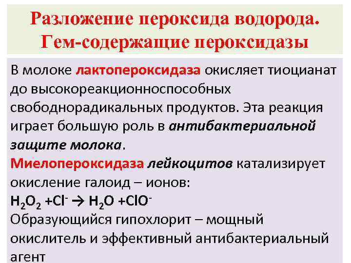 Разложение пероксида водорода. Гем-содержащие пероксидазы В молоке лактопероксидаза окисляет тиоцианат до высокореакционноспособных свободнорадикальных продуктов.