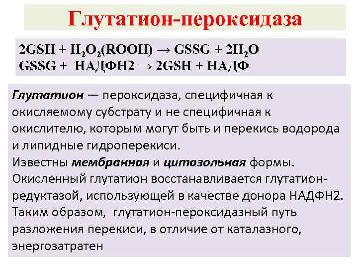 Глутатион-пероксидаза 2 GSH + H 2 O 2(ROOH) → GSSG + 2 H 2