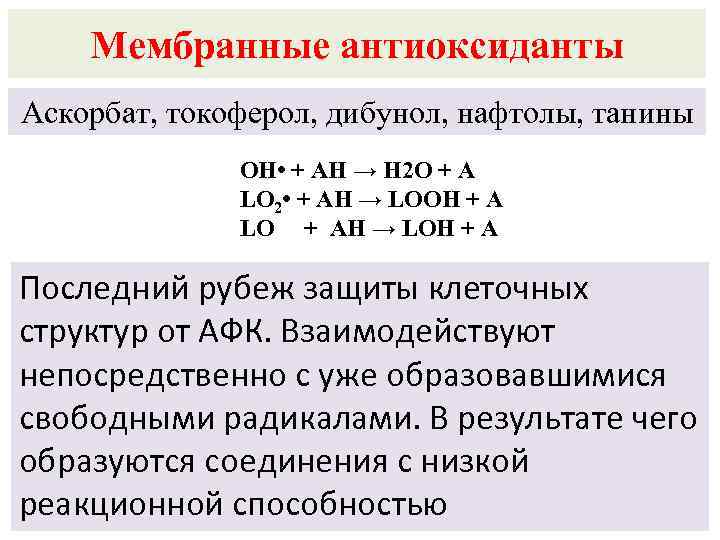 Мембранные антиоксиданты Аскорбат, токоферол, дибунол, нафтолы, танины ОН • + АН → Н 2