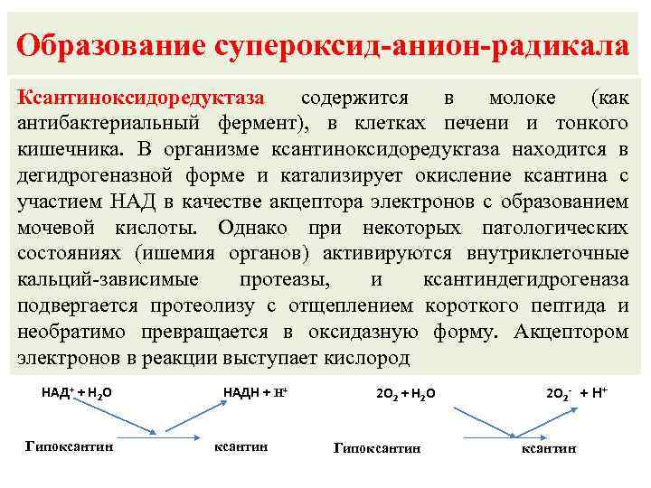 Супероксид