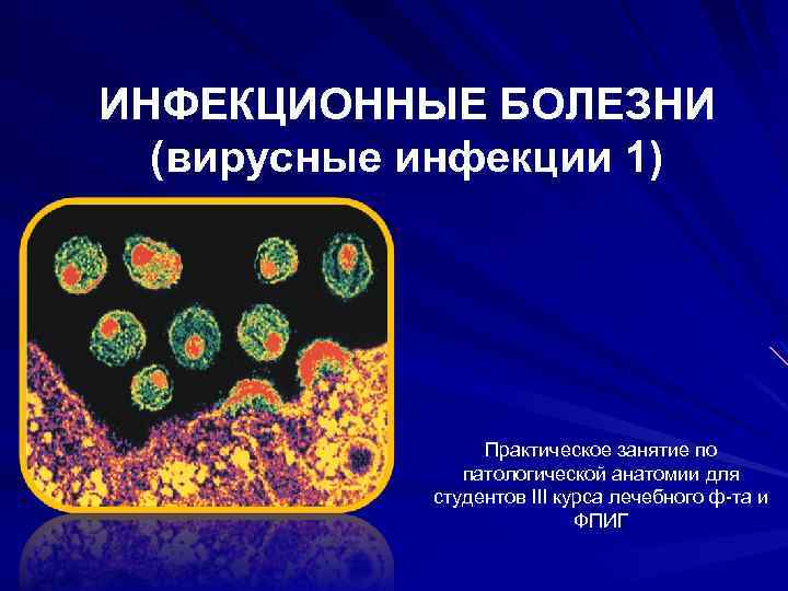 ИНФЕКЦИОННЫЕ БОЛЕЗНИ (вирусные инфекции 1) Практическое занятие по патологической анатомии для студентов III курса
