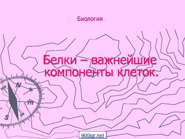 Биология Белки – важнейшие компоненты клеток. 900 igr. net 