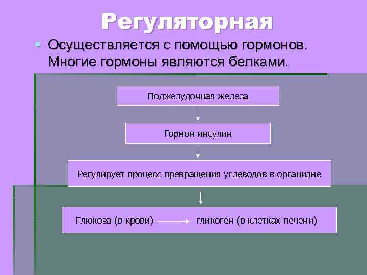 Регуляторная § Осуществляется с помощью гормонов. Многие гормоны являются белками. Поджелудочная железа Гормон инсулин