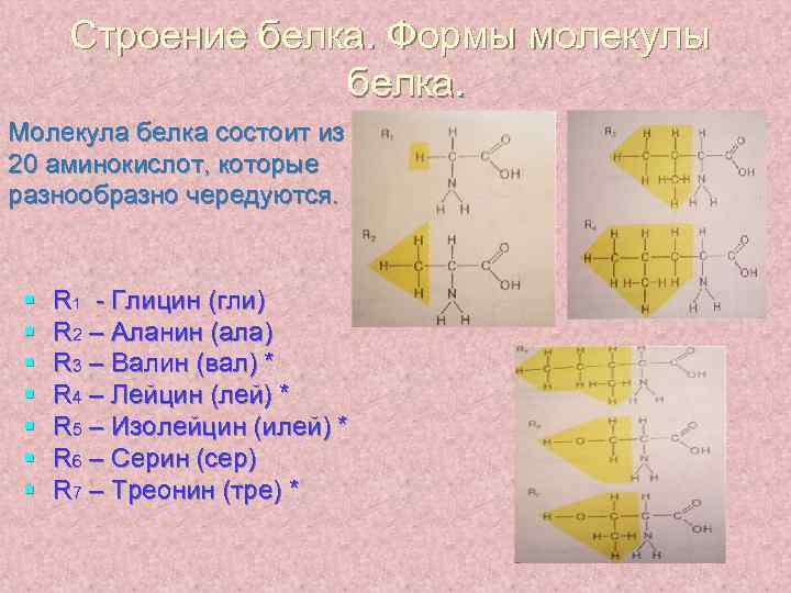 Строение белка. Формы молекулы белка. Молекула белка состоит из 20 аминокислот, которые разнообразно чередуются.