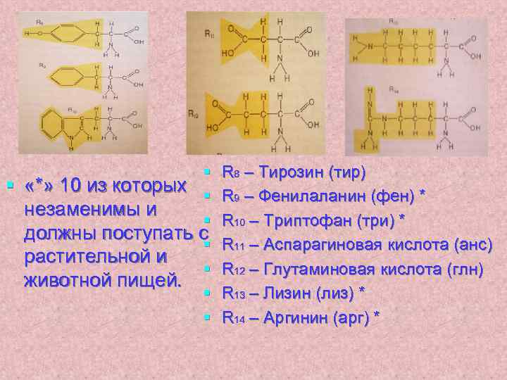 § § «*» 10 из которых § незаменимы и § должны поступать с §