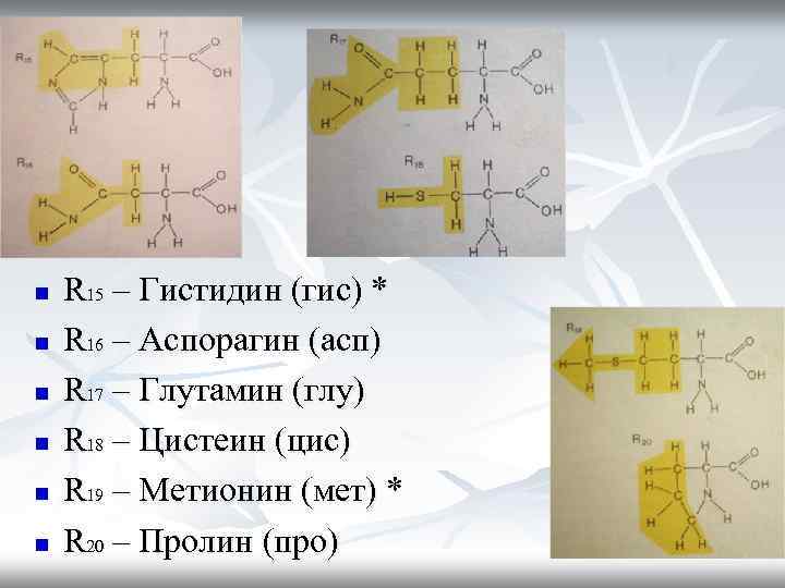 n n n R 15 – Гистидин (гис) * R 16 – Аспорагин (асп)