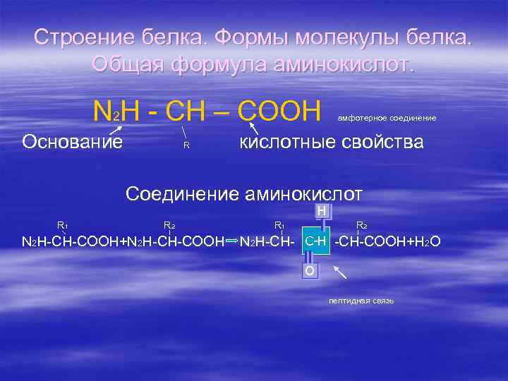 Строение белка. Формы молекулы белка. Общая формула аминокислот. N 2 H - CH –