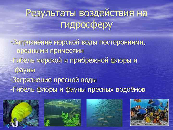 Результаты воздействия на гидросферу -Загрязнение морской воды посторонними, вредными примесями -Гибель морской и прибрежной