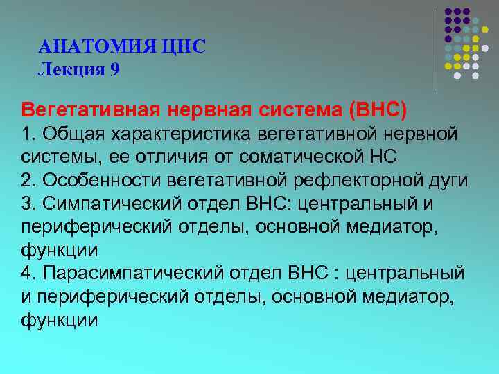 АНАТОМИЯ ЦНС Лекция 9 Вегетативная нервная система (ВНС) 1. Общая характеристика вегетативной нервной системы,