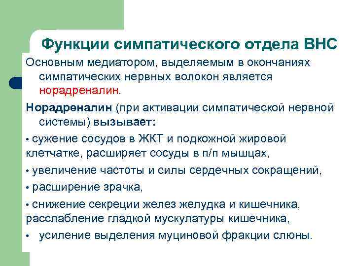 Функции симпатического отдела ВНС Основным медиатором, выделяемым в окончаниях симпатических нервных волокон является норадреналин.