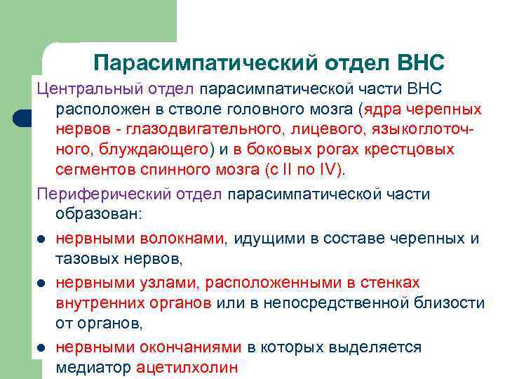 Парасимпатический отдел ВНС Центральный отдел парасимпатической части ВНС расположен в стволе головного мозга (ядра