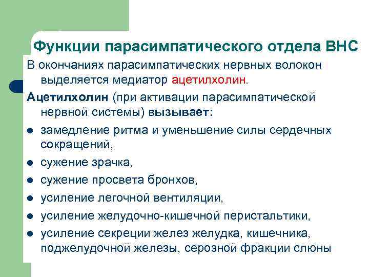 Функции парасимпатического отдела ВНС В окончаниях парасимпатических нервных волокон выделяется медиатор ацетилхолин. Ацетилхолин (при