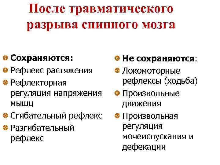 После травматического разрыва спинного мозга Сохраняются: Рефлекс растяжения Рефлекторная регуляция напряжения мышц Сгибательный рефлекс