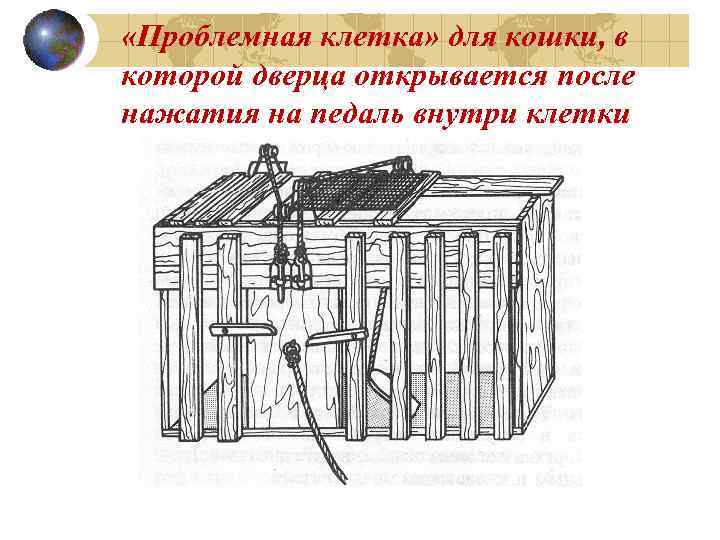  «Проблемная клетка» для кошки, в которой дверца открывается после нажатия на педаль внутри