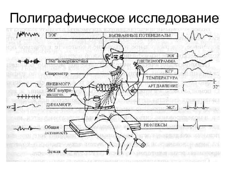 Психофизиология памяти схемы