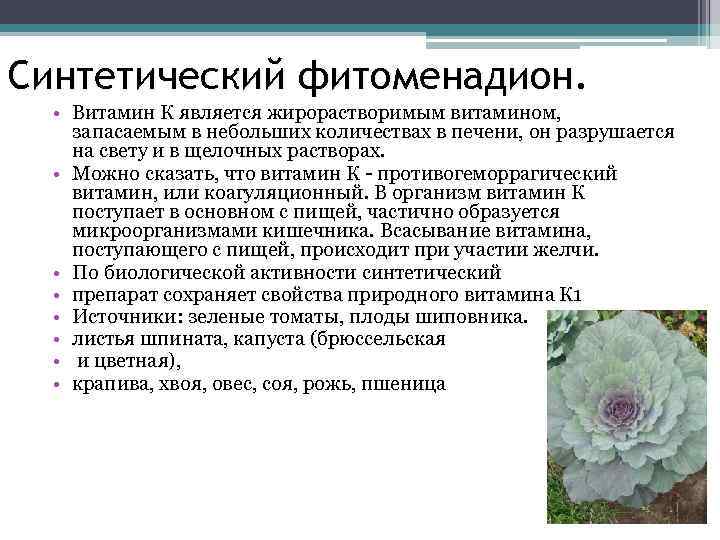 Синтетический фитоменадион. • Витамин К является жирорастворимым витамином, запасаемым в небольших количествах в печени,