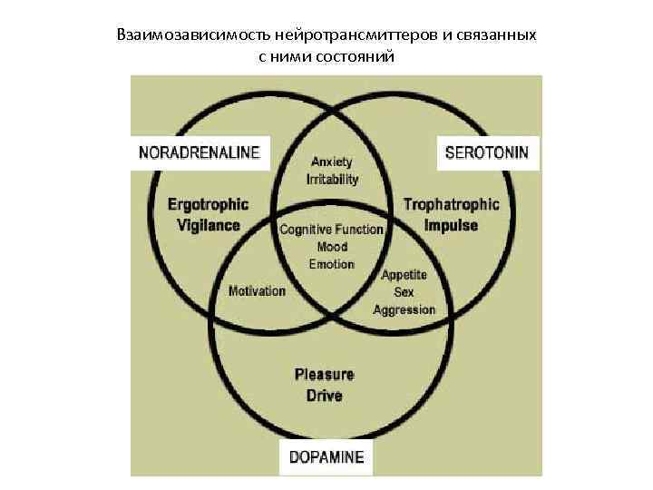 Взаимозависимость нейротрансмиттеров и связанных с ними состояний 