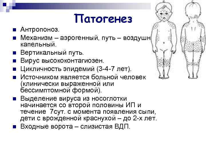 Патогенез n n n n Антропоноз. Механизм – аэрогенный, путь – воздушнокапельный. Вертикальный путь.