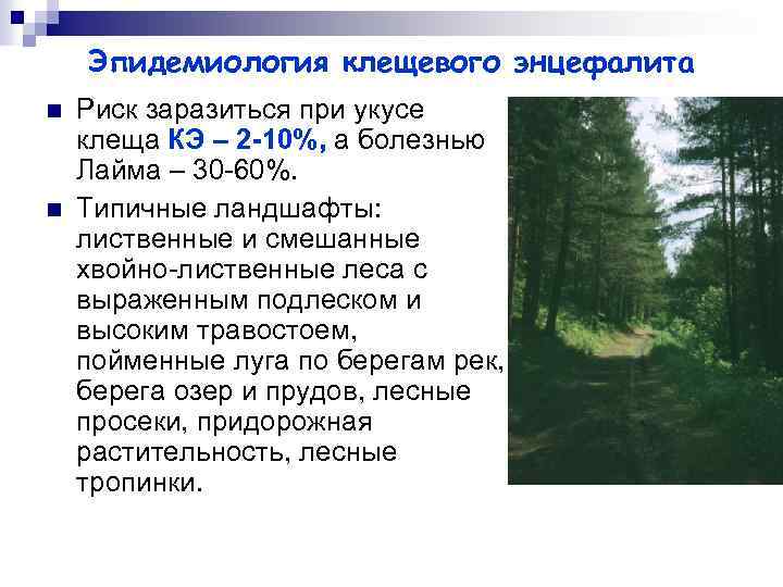 Эпидемиология клещевого энцефалита n n Риск заразиться при укусе клеща КЭ – 2 -10%,