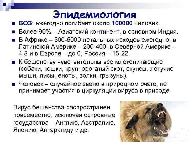 Эпидемиология n n n ВОЗ: ежегодно погибает около 100000 человек. Более 90% – Азиатский