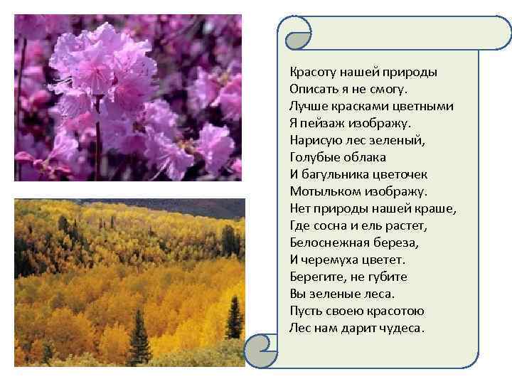 Красоту нашей природы Описать я не смогу. Лучше красками цветными Я пейзаж изображу. Нарисую