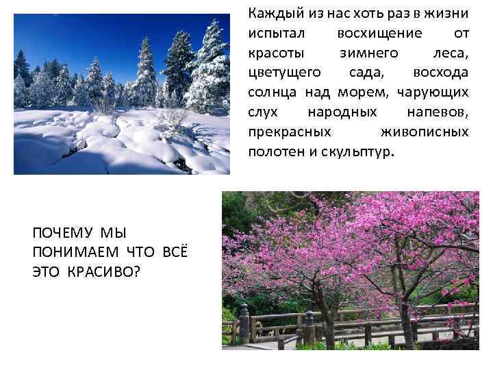 Каждый из нас хоть раз в жизни испытал восхищение от красоты зимнего леса, цветущего