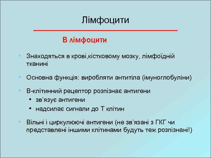 Лімфоцити В лімфоцити • Знаходяться в крові, кістковому мозку, лімфоїдній тканині • Основна функція: