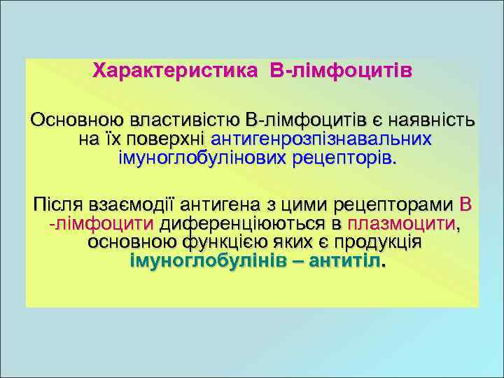 Характеристика В-лімфоцитів Основною властивістю В-лімфоцитів є наявність на їх поверхні антигенрозпізнавальних імуноглобулінових рецепторів. Після
