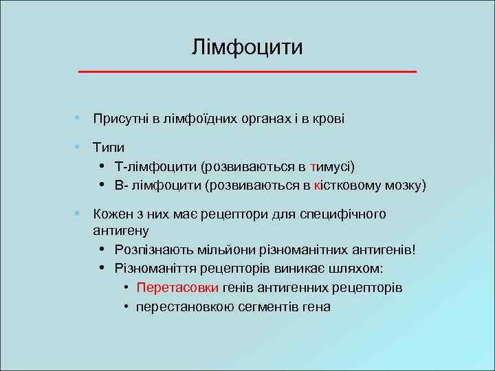 Лімфоцити • Присутні в лімфоїдних органах і в крові • Типи • T-лімфоцити (розвиваються
