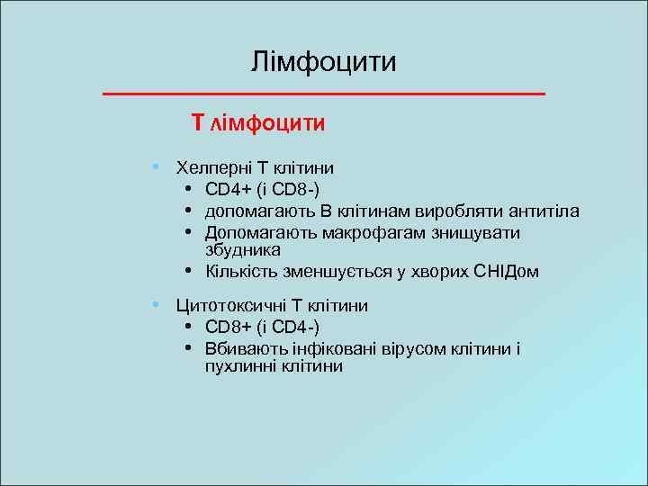 Лімфоцити Т лімфоцити • Хелперні Т клітини • CD 4+ (і CD 8 -)