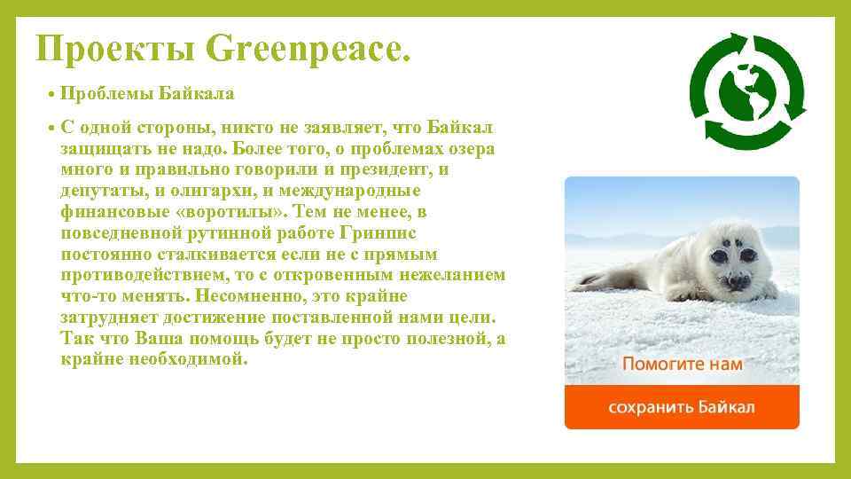 Экологическая организация презентация. Гринпис международные экологические организации. Greenpeace проекты. Гринпис проекты организации. Проекты Гринпис в России.