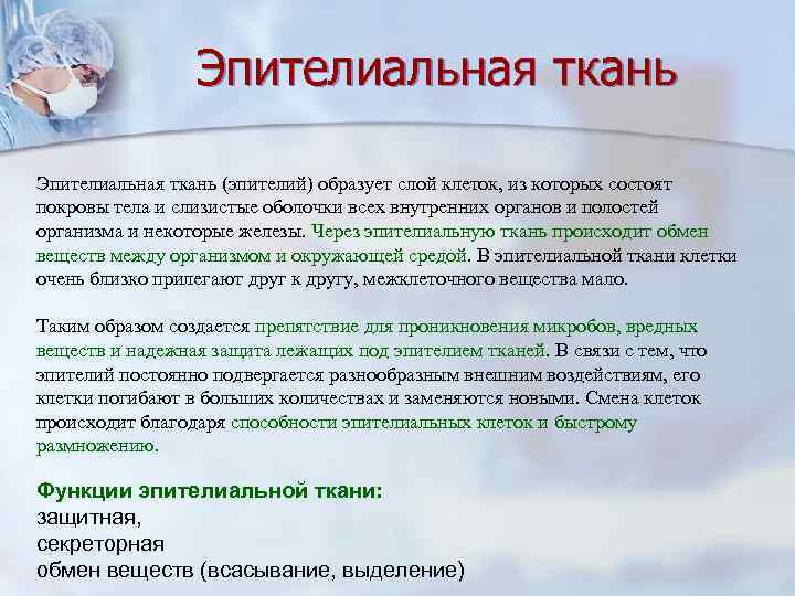 Эпителиальная ткань (эпителий) образует слой клеток, из которых состоят покровы тела и слизистые оболочки