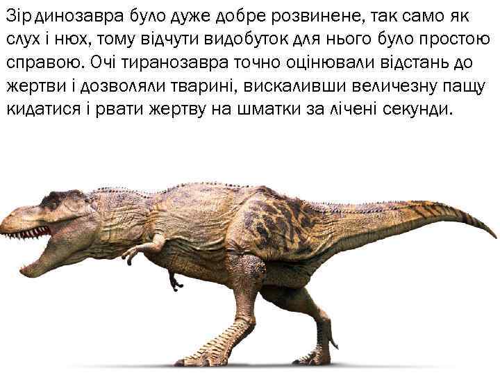 Зір динозавра було дуже добре розвинене, так само як слух і нюх, тому відчути