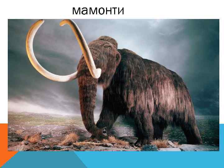 мамонти 