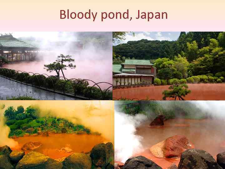 Bloody pond, Japan 