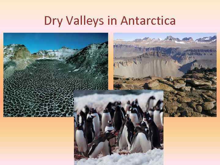 Dry Valleys in Antarctica 