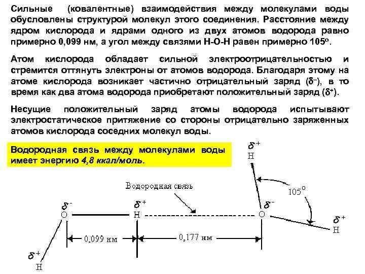 Сильные (ковалентные) взаимодействия между молекулами воды обусловлены структурой молекул этого соединения. Расстояние между ядром