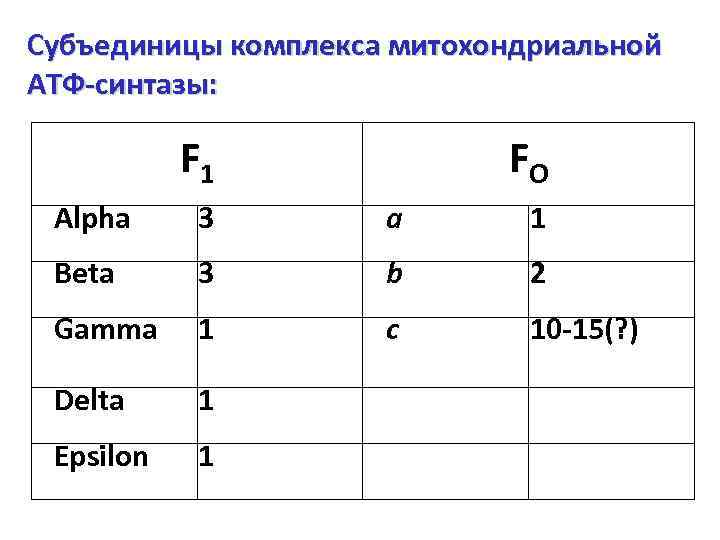 Субъединицы комплекса митохондриальной АТФ-синтазы: F 1 FO Alpha 3 a 1 Beta 3 b