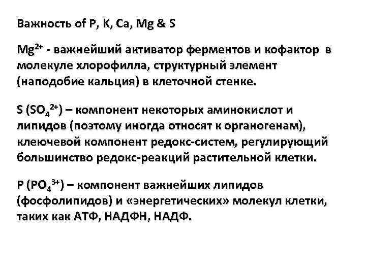 Важность of P, K, Ca, Mg & S Mg 2+ - важнейший активатор ферментов