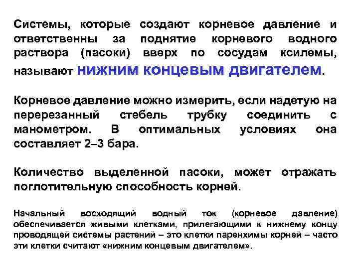 Системы, которые создают корневое давление и ответственны за поднятие корневого водного раствора (пасоки) вверх