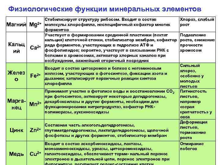 Роль минеральных элементов