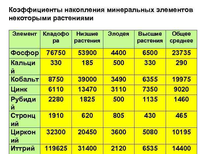 Коэффициенты накопления минеральных элементов некоторыми растениями Элемент Кладофо Низшие ра растения Фосфор 76750 Кальци