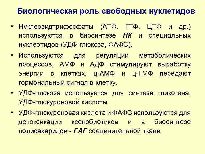Биологическая роль свободных нуклетидов • Нуклеозидтрифосфаты (АТФ, ГТФ, ЦТФ и др. ) используются в
