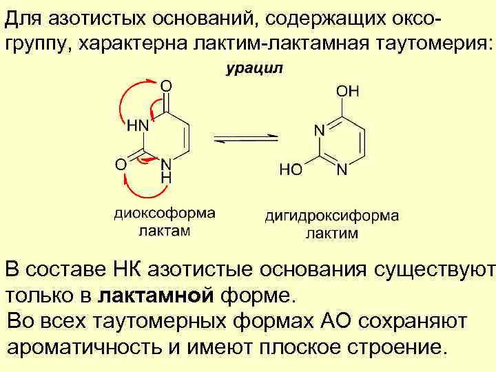 Для азотистых оснований, содержащих оксогруппу, характерна лактим-лактамная таутомерия: В составе НК азотистые основания существуют