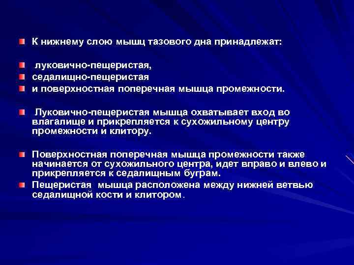 К нижнему слою мышц тазового дна принадлежат: луковично-пещеристая, седалищно-пещеристая и поверхностная поперечная мышца промежности.