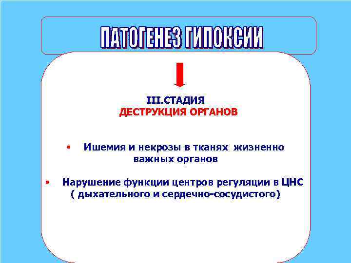 III. СТАДИЯ ДЕСТРУКЦИЯ ОРГАНОВ § § Ишемия и некрозы в тканях жизненно важных органов