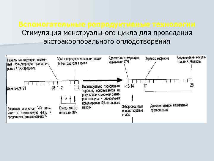 Вспомогательные репродуктивные технологии Стимуляция менструального цикла для проведения экстракорпорального оплодотворения 