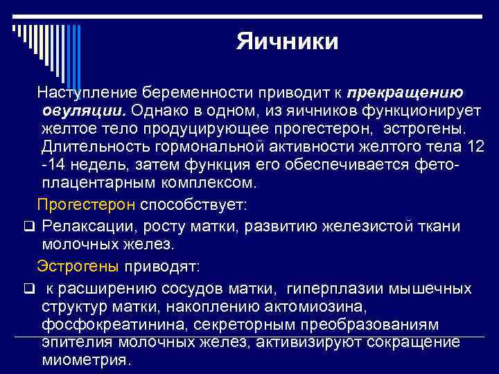 Яичники Наступление беременности приводит к прекращению овуляции. Однако в одном, из яичников функционирует желтое